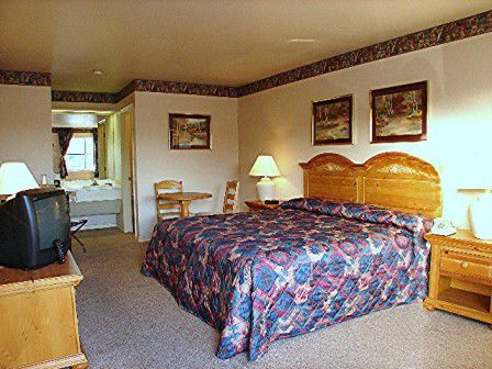Lakeside Inn & Suites By Oyo Mathis I 37 חדר תמונה
